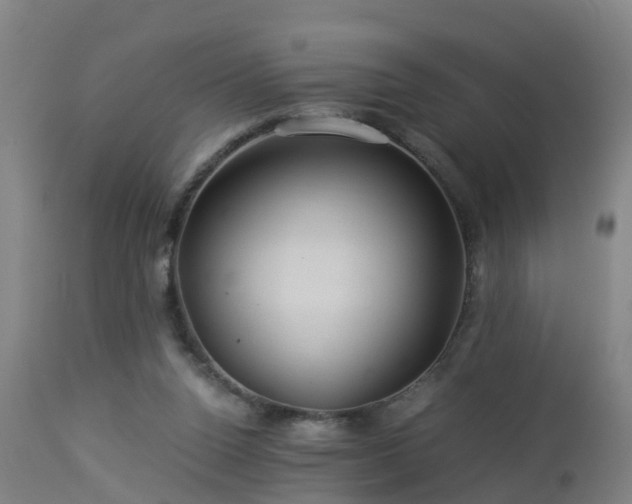 X0000112880160200908281645