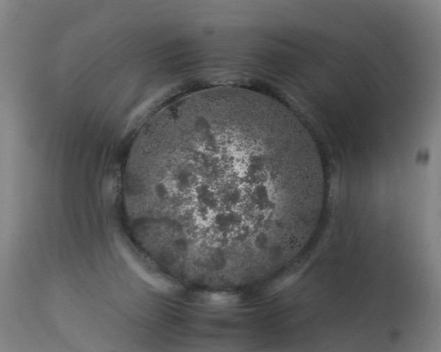 X0000112880165200908281645