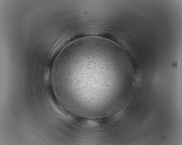 X0000112880166200908281645