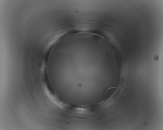 X0000112880167200908281645