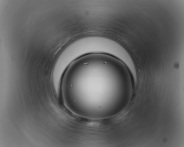 X0000112880168200908281645