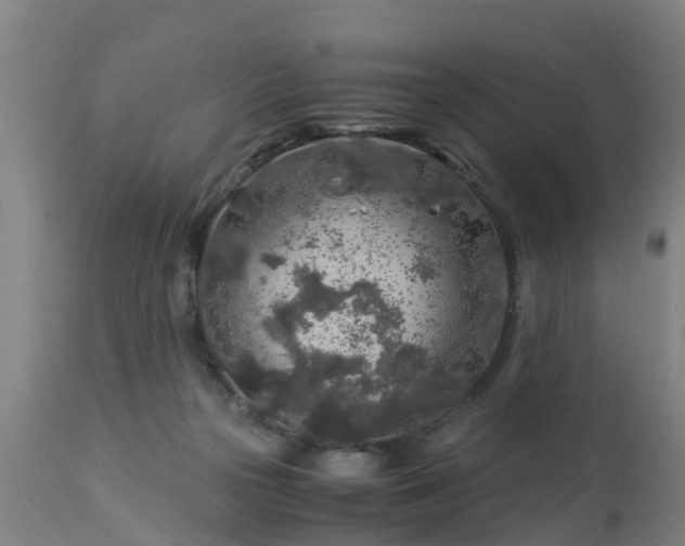 X0000112880169200908281645