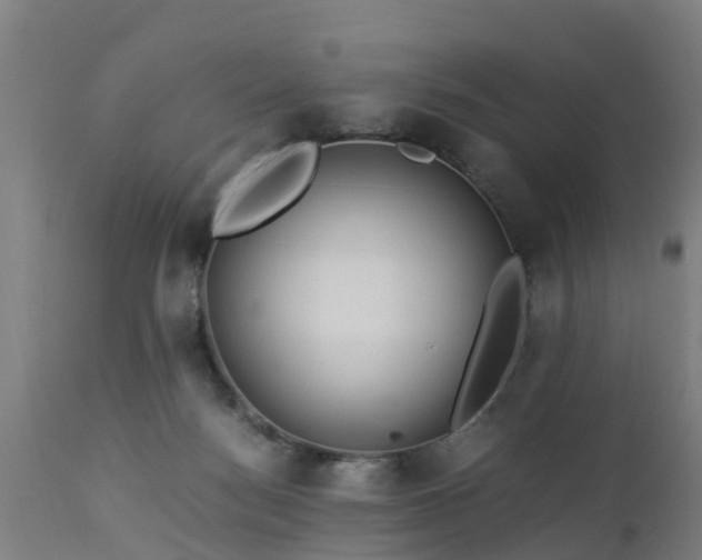 X0000112880172200908281645