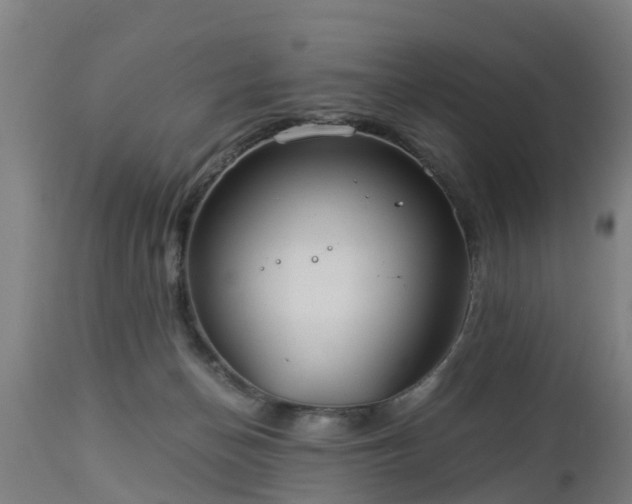 X0000112880174200908281645