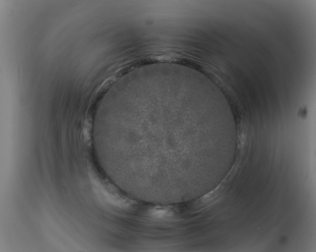 X0000112880175200908281645