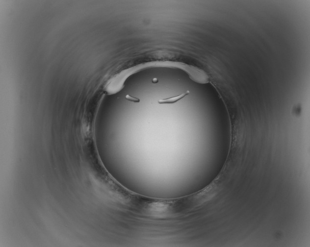 X0000112880176200908281645