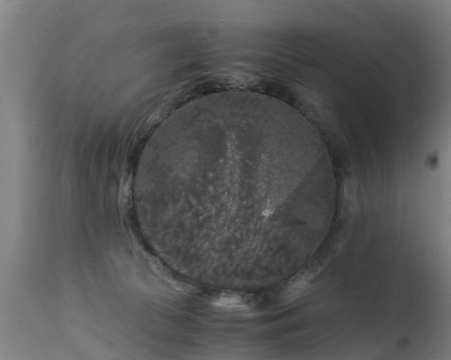 X0000112880177200908281645