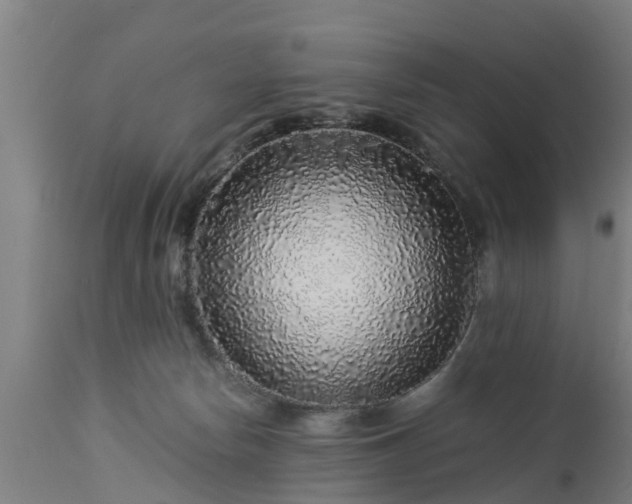 X0000112880178200908281646