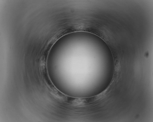 X0000112880179200908281646