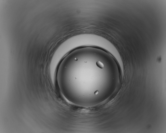 X0000112880180200908281646