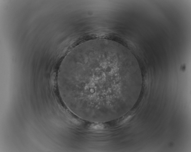 X0000112880181200908281646