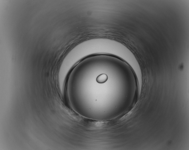 X0000112880184200908281646