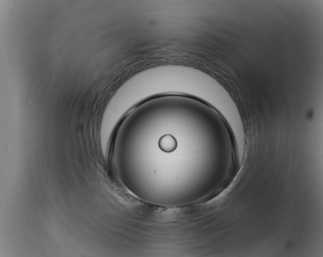 X0000112880186200908281646