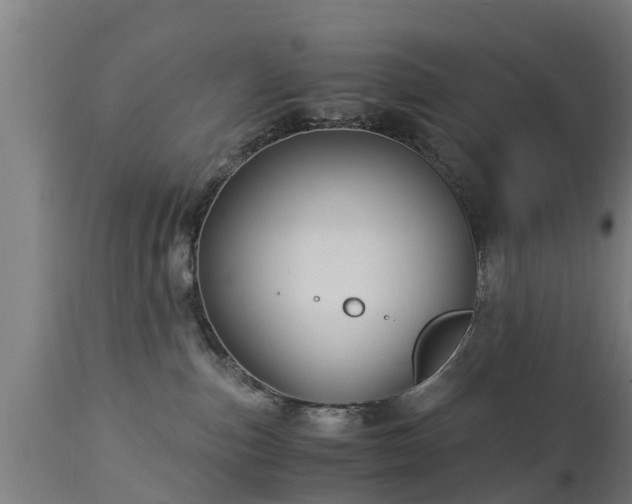 X0000112880187200908281646