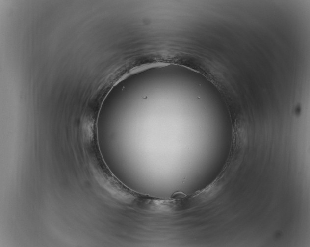 X0000112880188200908281646