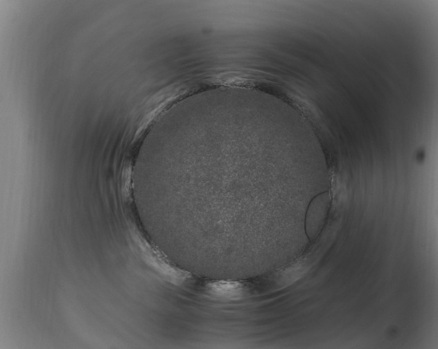 X0000112880189200908281646