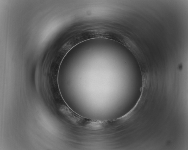 X0000112880190200908281646