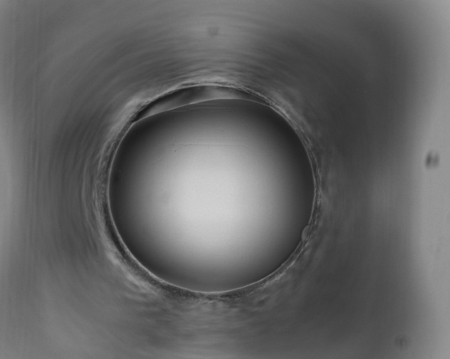 X0000112880193200908281645