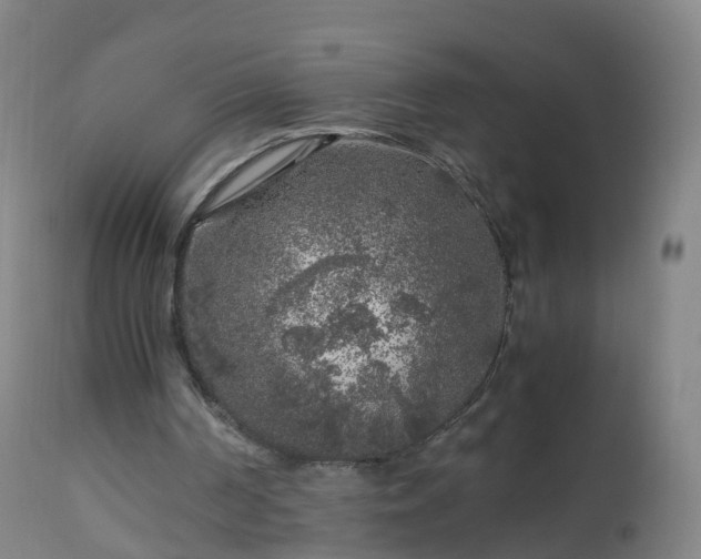 X0000112880194200908281645