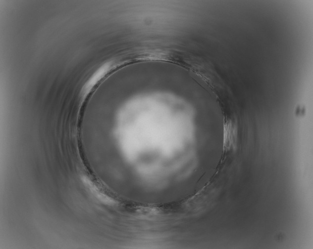 X0000112880195200908281645