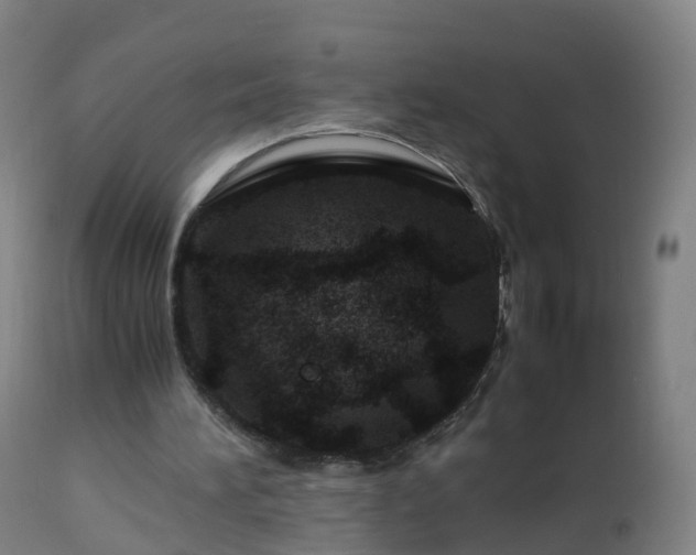 X0000112880196200908281645