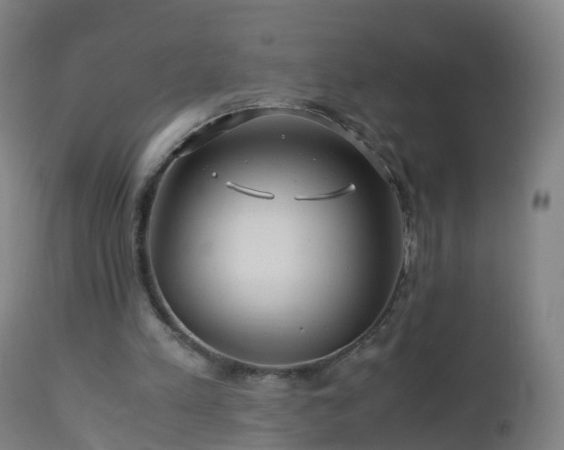 X0000112880197200908281645