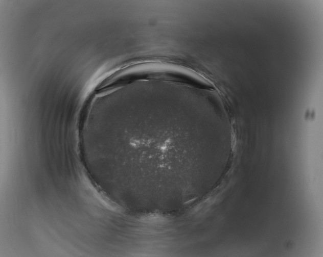 X0000112880198200908281645