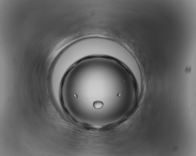 X0000112880199200908281645