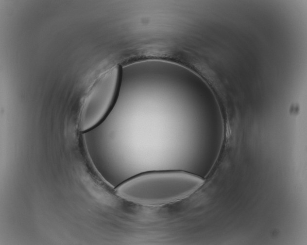 X0000112880201200908281645