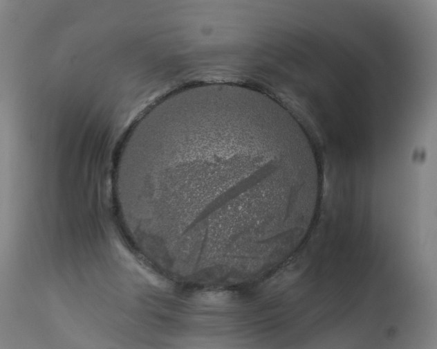 X0000112880202200908281645