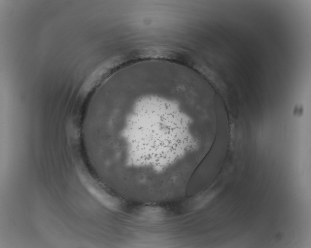 X0000112880203200908281645