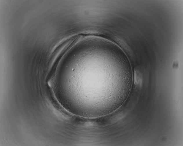 X0000112880204200908281645