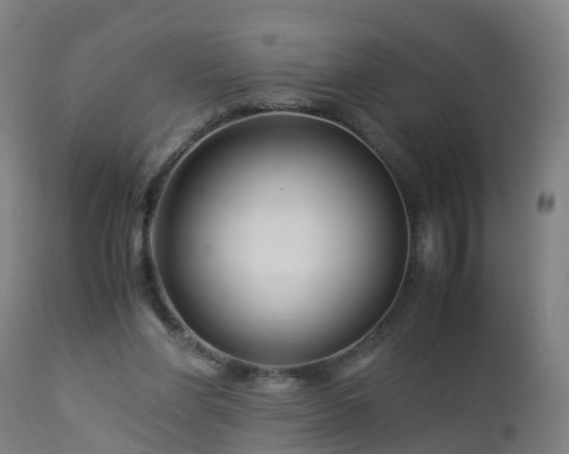 X0000112880206200908281645