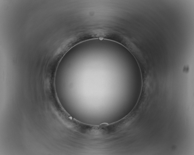 X0000112880209200908281645