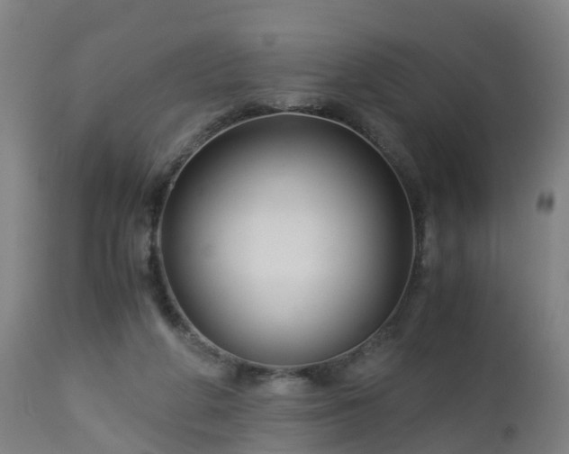 X0000112880210200908281645