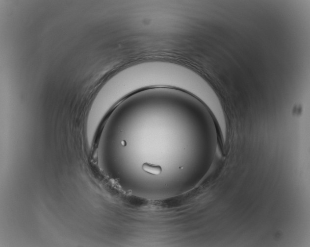 X0000112880211200908281645