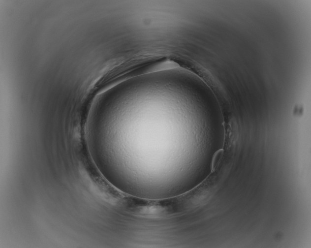 X0000112880212200908281645