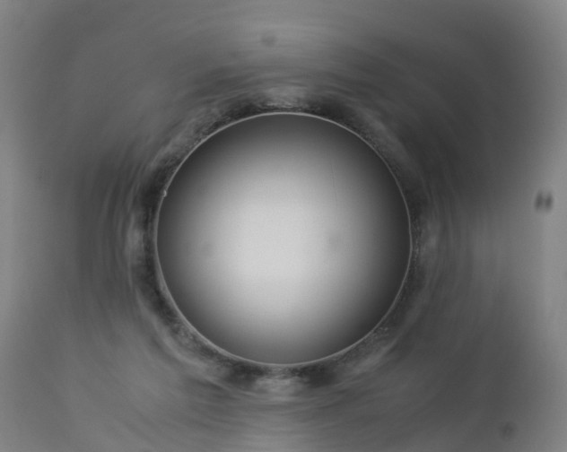 X0000112880213200908281645