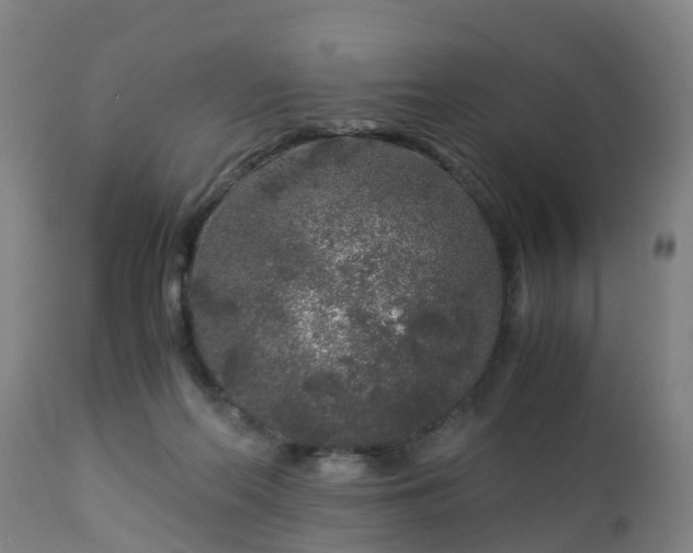 X0000112880214200908281645