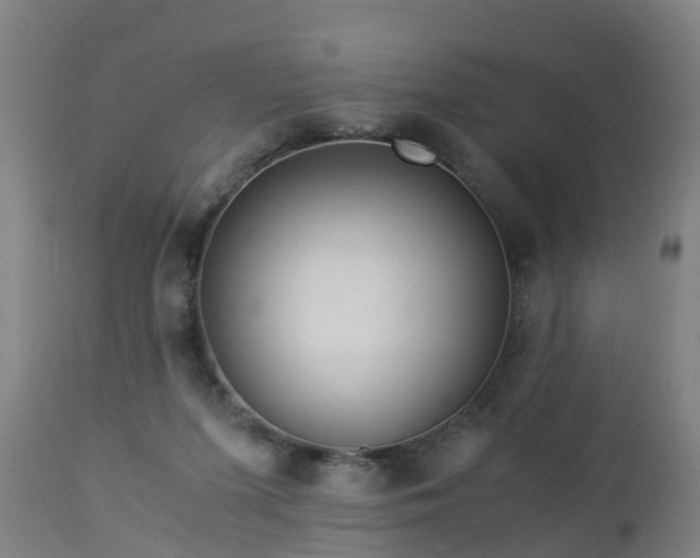 X0000112880215200908281645