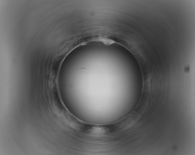 X0000112880218200908281645