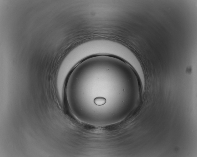 X0000112880219200908281645