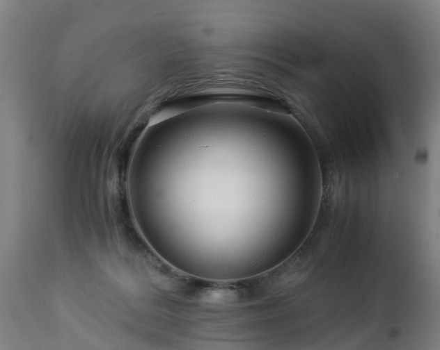 X0000112880220200908281645