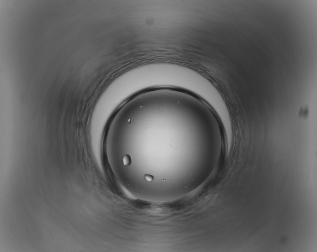 X0000112880221200908281645