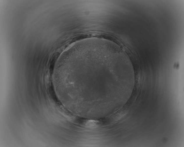 X0000112880222200908281645