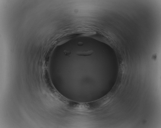 X0000112880223200908281645