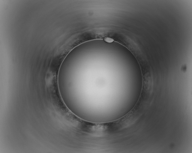 X0000112880225200908281645