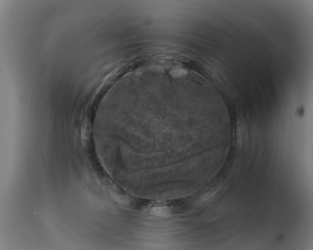 X0000112880228200908281645