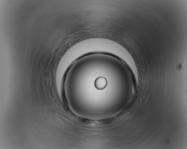 X0000112880229200908281645