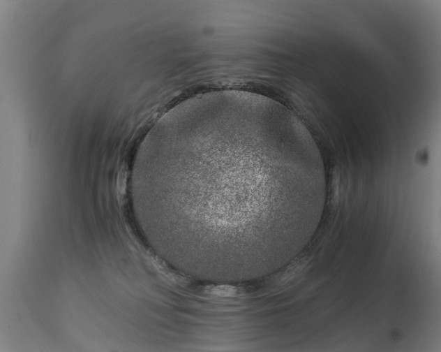 X0000112880230200908281645